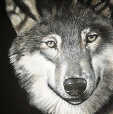 interrupteur DÉCORÉ loup gris