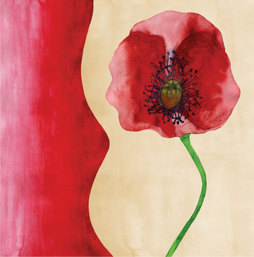 Interrupteur DÉCORÉ coquelicots 3