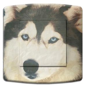 interrupteur DECORE husky