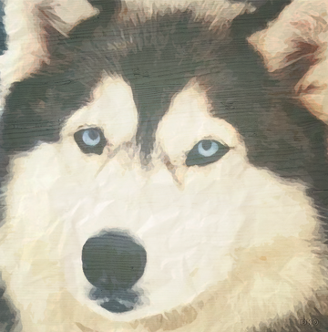 interrupteur DECORE husky