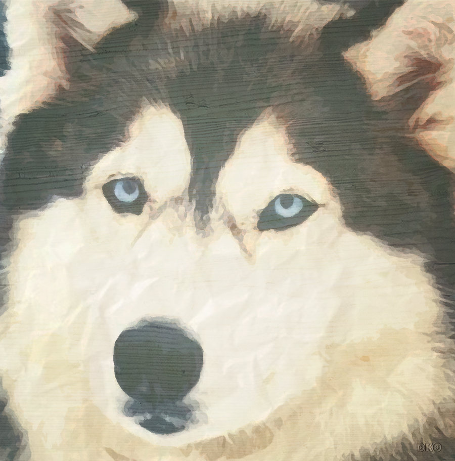 interrupteur DECORE husky