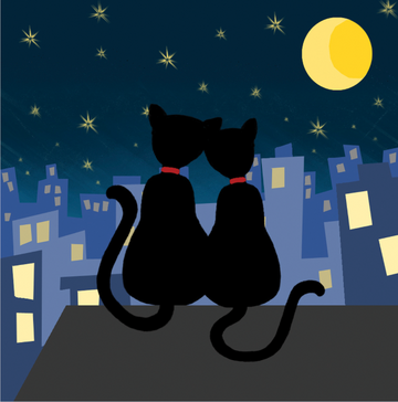 Interrupteur DÉCORÉ amour de chat