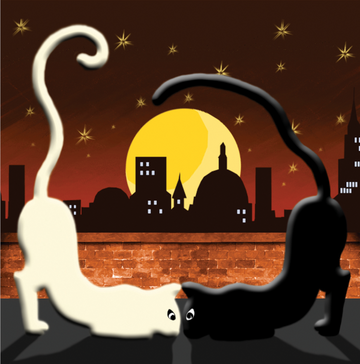 Interrupteur DÉCORÉ chat noir chat blanc