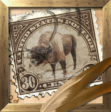 interrupteur DECORE bison