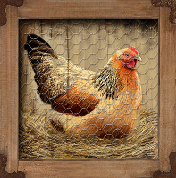 interrupteur DÉCORÉ poule rouge