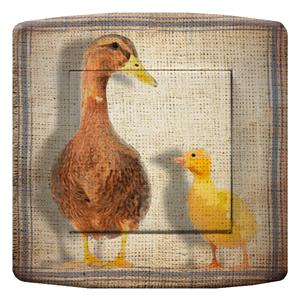 interrupteur DECORE canard