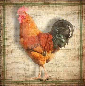 interrupteur DECORE coq