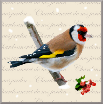interrupteur DECORE chardonneret
