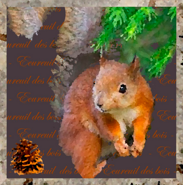 INTERRUPTEUR DECORE  ecureuil