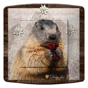 INTERRUPTEUR DECORE marmotte