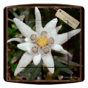 INTERRUPTEUR DECORE  edelweiss 3