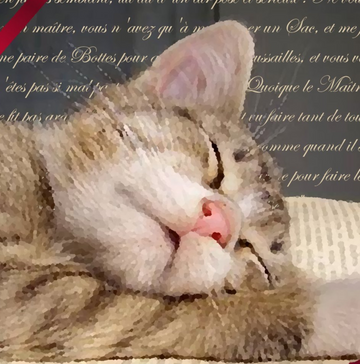 INTERRUPTEUR sommeil de chat