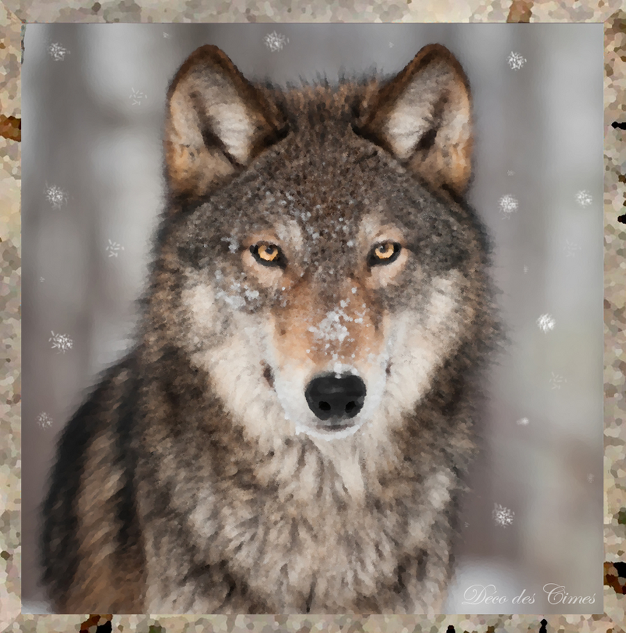 interrupteur DECORE  loup
