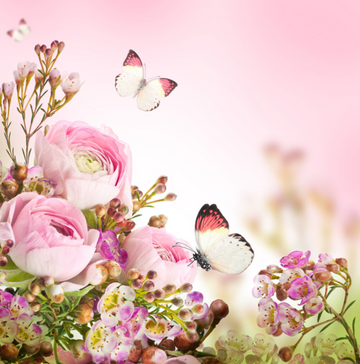 interrupteur DECORE pivoines et papillons - Interrupteur décoré