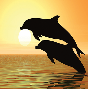Interrupteur DÉCORÉ dauphins