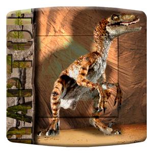 interrupteur  DECORE raptor