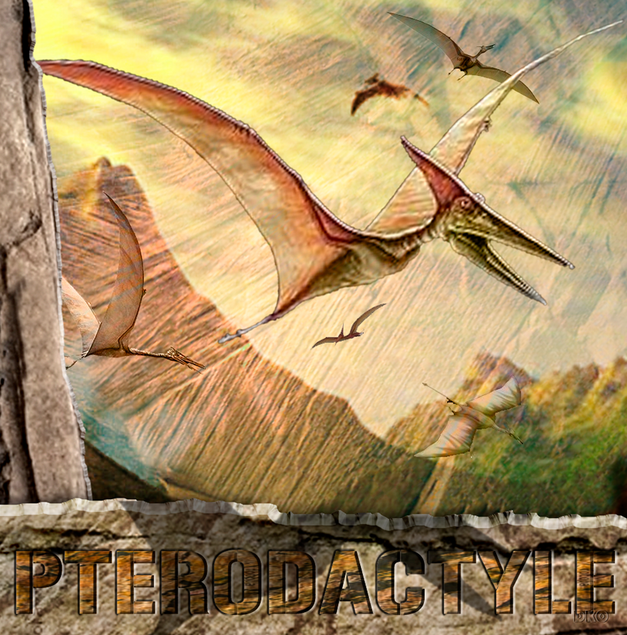 interrupteur  DECORE pterodactyle