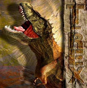 interrupteur  DECORE trex