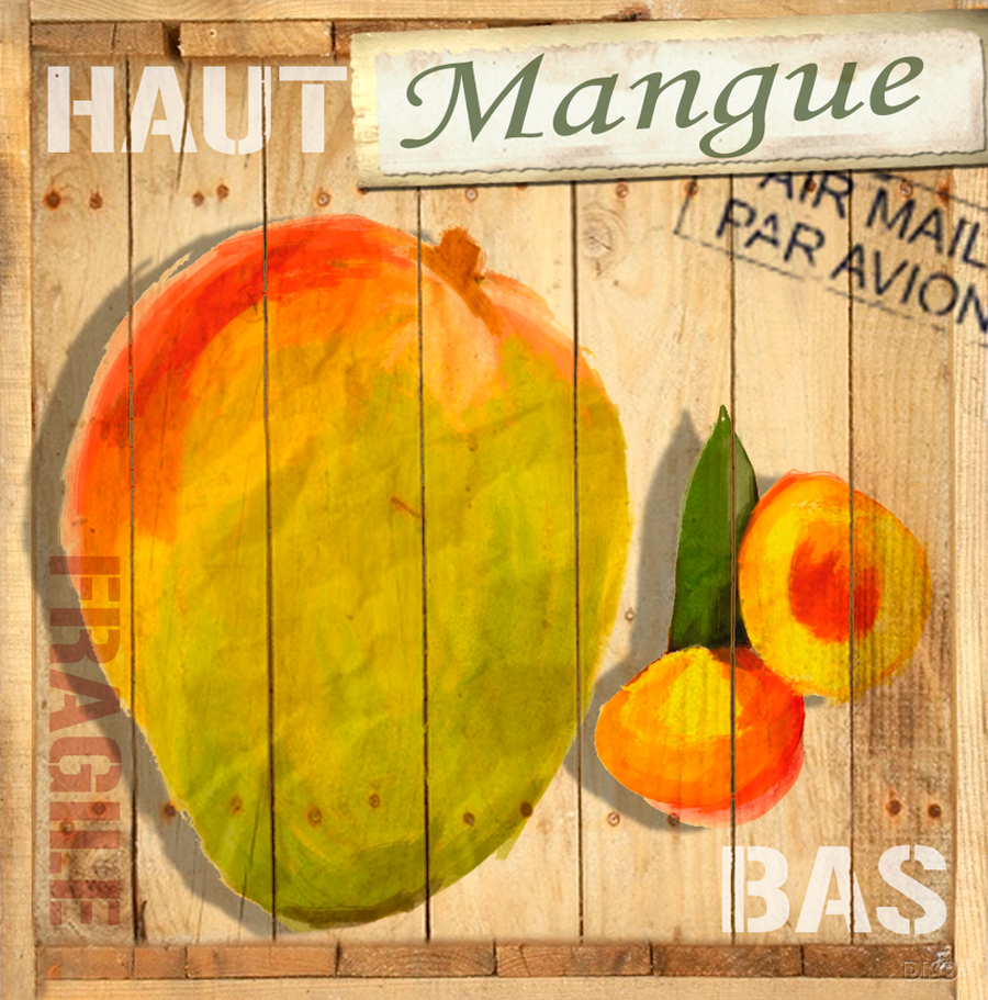 interrupteur DÉCORÉ mangue