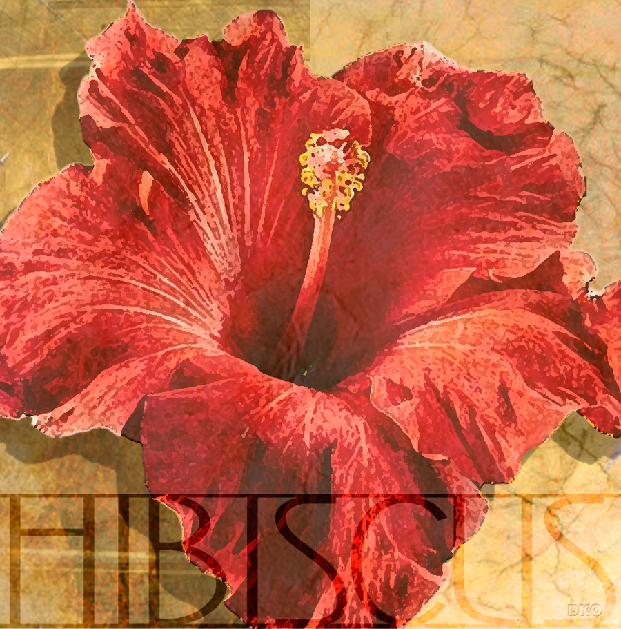 interrupteur DÉCORÉ hibiscus