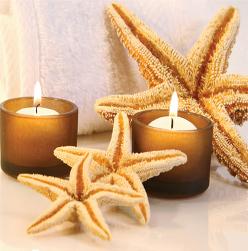 Interrupteur DÉCORÉ étoiles de mer et bougies - Interrupteur décoré