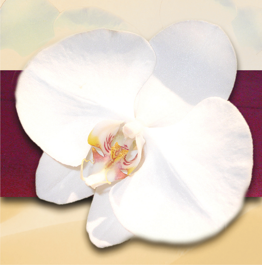 Interrupteur DÉCORÉ orchidée 2