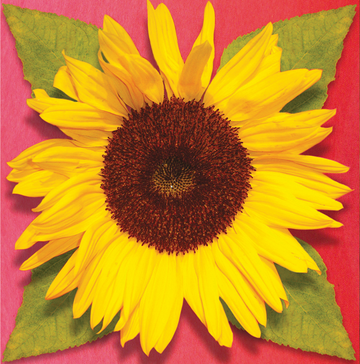 Interrupteur DÉCORÉ tournesol 1