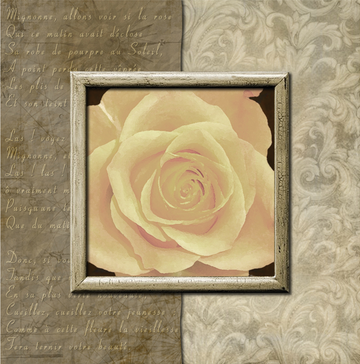 Interrupteur DÉCORÉ rose