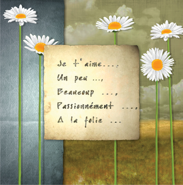 Interrupteur DÉCORÉ marguerites 1 - Interrupteur décoré
