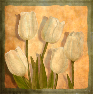 Interrupteur DÉCORÉ tulipes blanches