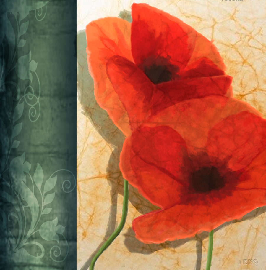 Interrupteur DÉCORÉ duo de coquelicots