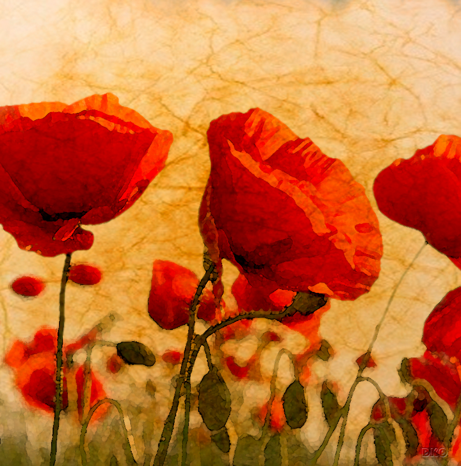 Interrupteur DÉCORÉ coquelicots