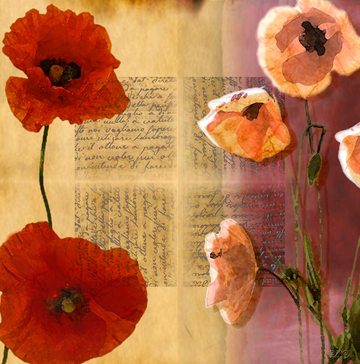 Interrupteur DÉCORÉ coquelicots rouges