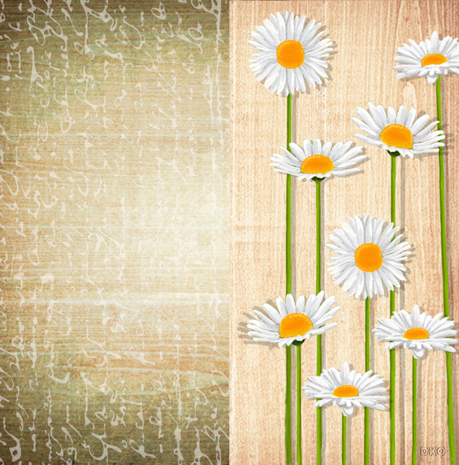 Interrupteur DÉCORÉ marguerites 2