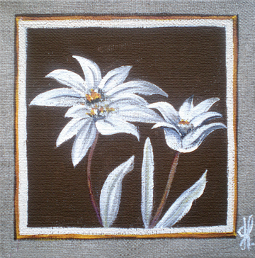 Interrupteur DÉCORÉ edelweiss 1 - Interrupteur décoré