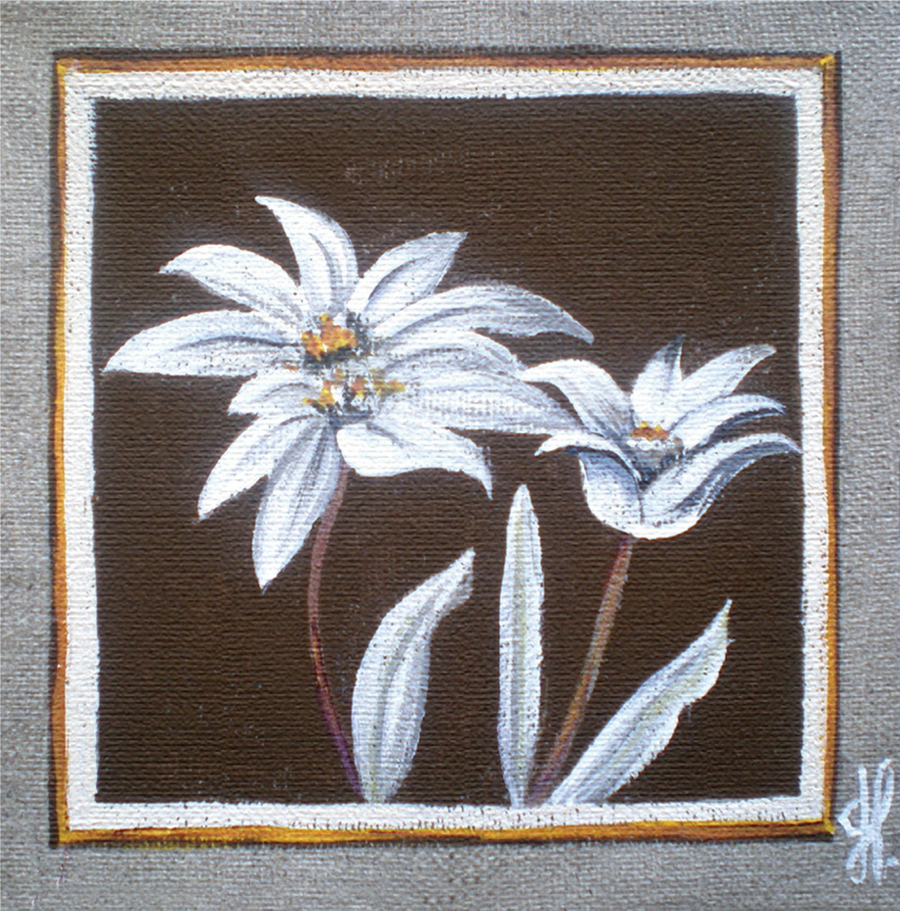Interrupteur DÉCORÉ edelweiss 1 - Interrupteur décoré