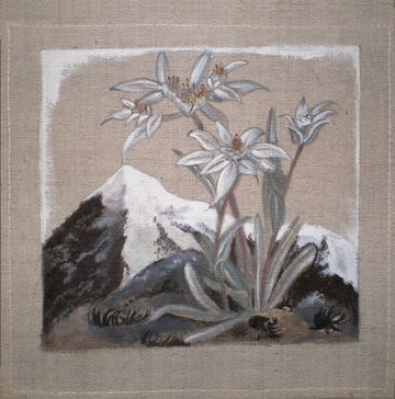 Interrupteur DÉCORÉ edelweiss 6