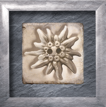 interrupteur  DECORE edelweiss 2