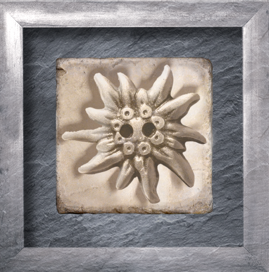 interrupteur  DECORE edelweiss 2