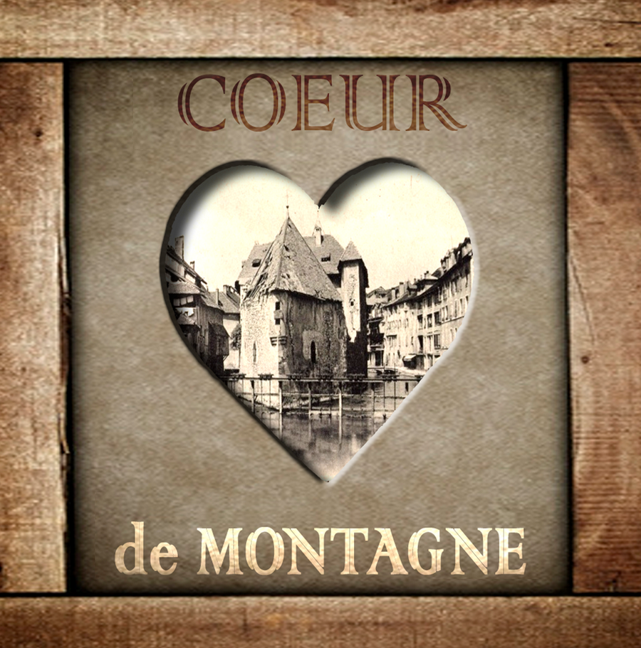 interrupteur  DECORE coeur d'annecy