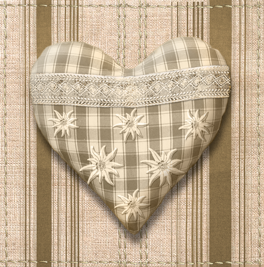 interrupteur  DECORE coeur edelweiss