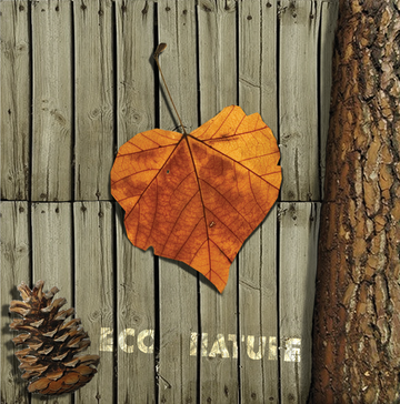Interrupteur DÉCORÉ eco nature