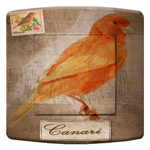 interrupteur  DECORE canari