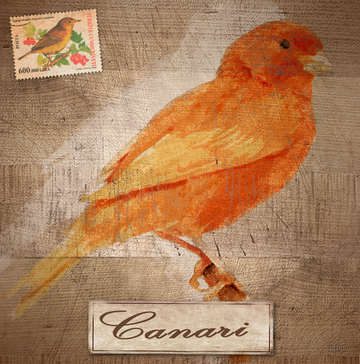 interrupteur  DECORE canari