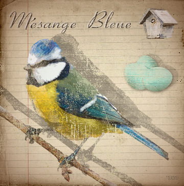 interrupteur  DECORE mésange bleue