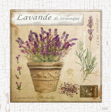 interrupteur DÉCORÉ lavande