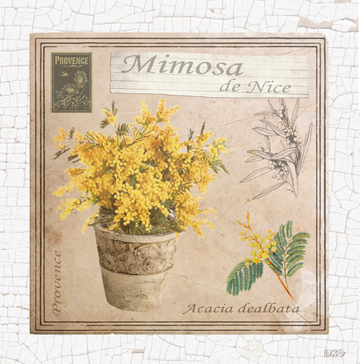 interrupteur DECORE mimosa