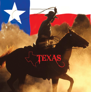 Interrupteur DÉCORÉ  usa texas cowboy