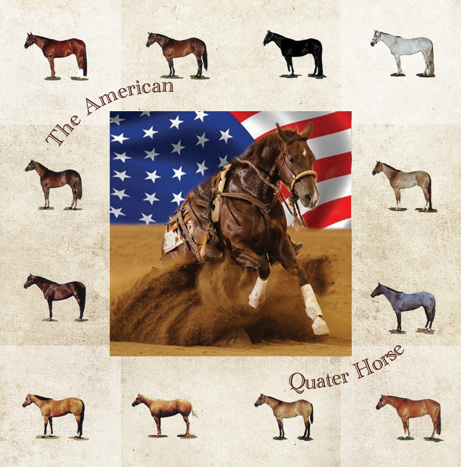 Interrupteur DÉCORÉ  usa quater Horse