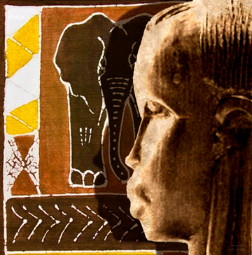 interrupteur DÉCORÉ africa 3